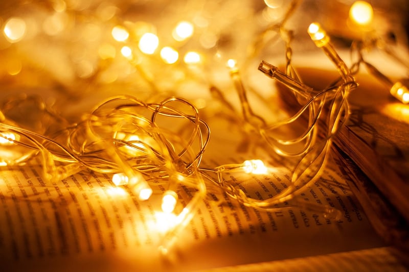 Fairy lights in a garden
