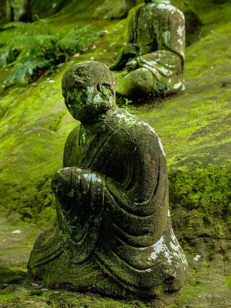 Zen Oasis